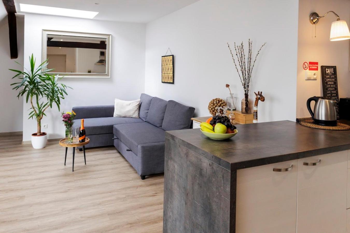 Vip Apartment In Old Town With Free Parking Bratislava Exterior photo